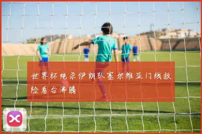 世界杯绝杀伊朗队塞尔维亚门线救险看台沸腾