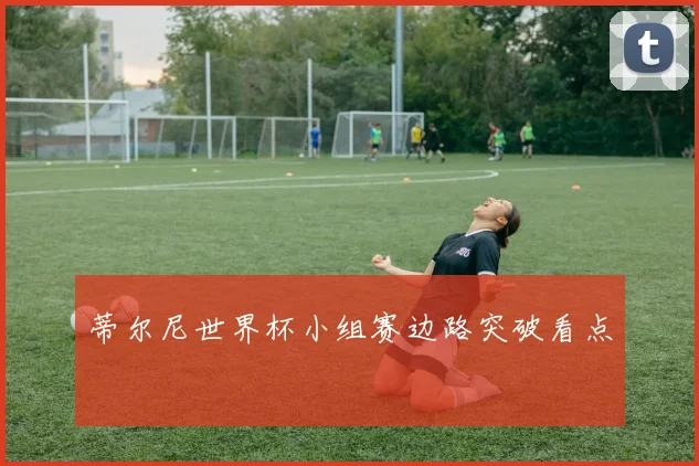 蒂尔尼世界杯小组赛边路突破看点